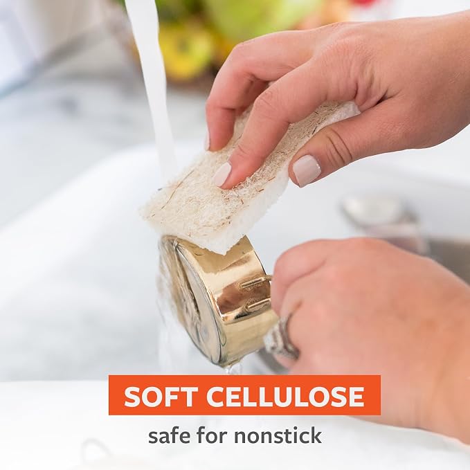 Full Circle Coconut Scrubber Sponges, Pack of 2 – Dual-Sided, Plant-Based Sponges Made with Coconut Shells, Cellulose & Recycled Materials, Safe for Nonstick Cookware