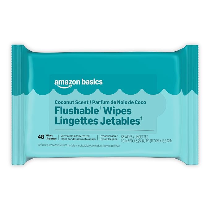 Amazon Basics Flushable Wipes, Coconut Scent, Hypoallergenic, Dermatologically Tested, 2 Packs of 48 (96 Count)