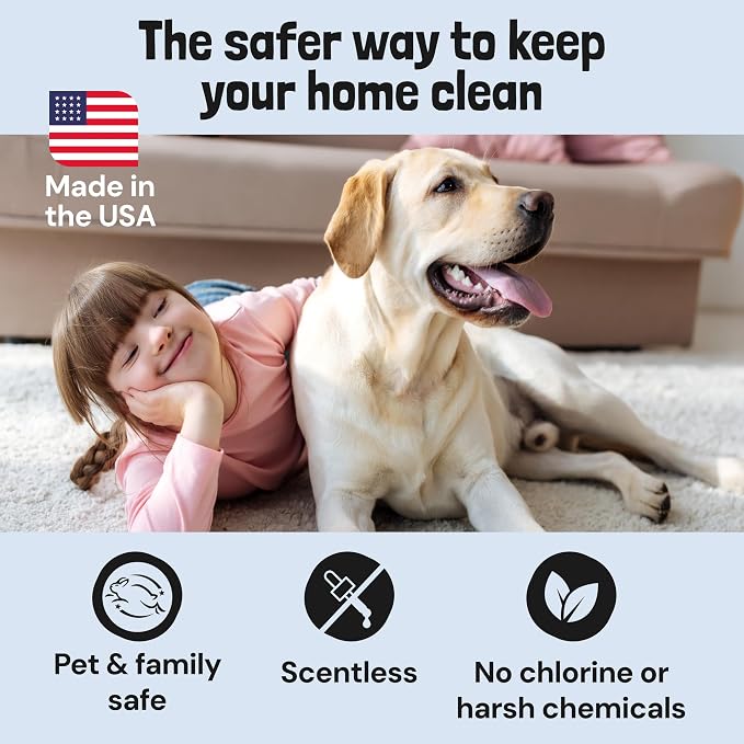 Sunny & Honey Oxy Stain Remover Cleaner Spray, Unscented, (32 fl oz) | Instant Stain & Odor Removal - Residue Free - Color Safe - Solution for Mattresses, Fabrics, Rugs, Carpets & Furniture