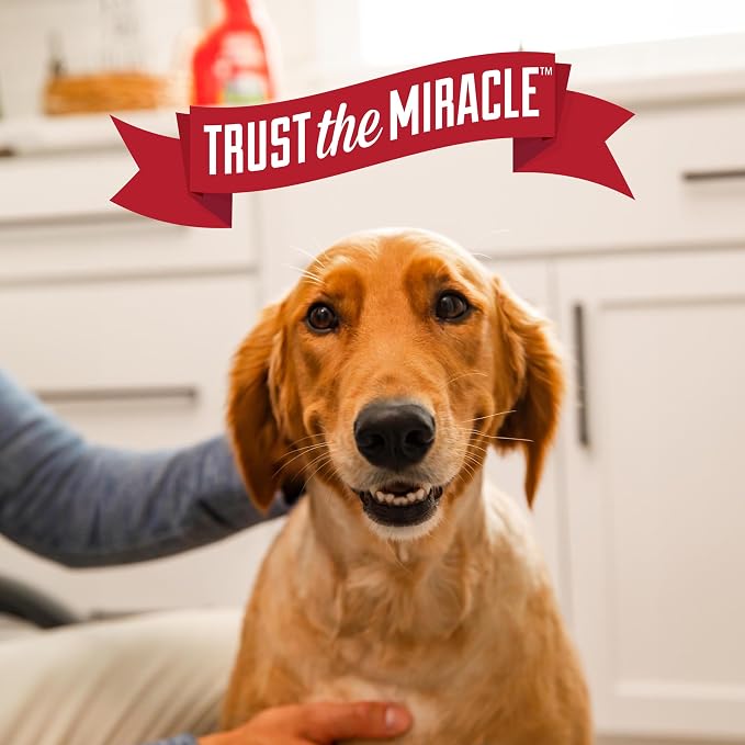 Nature's Miracle Advanced Dog Stain & Odor Eliminator Foam, 17.5 oz (6 Pk) | Enzymatic Cleaner Eliminates the Toughest Dog Messes, Foam Penetrates Into the Carpet, Safe For Pets and Home*, Fresh Scent