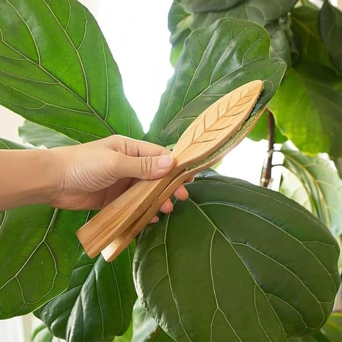 Leaf Cleaning Tongs, House Plant Leaf Cleaning Tongs,Leaf Cleaning Tools With Removable
