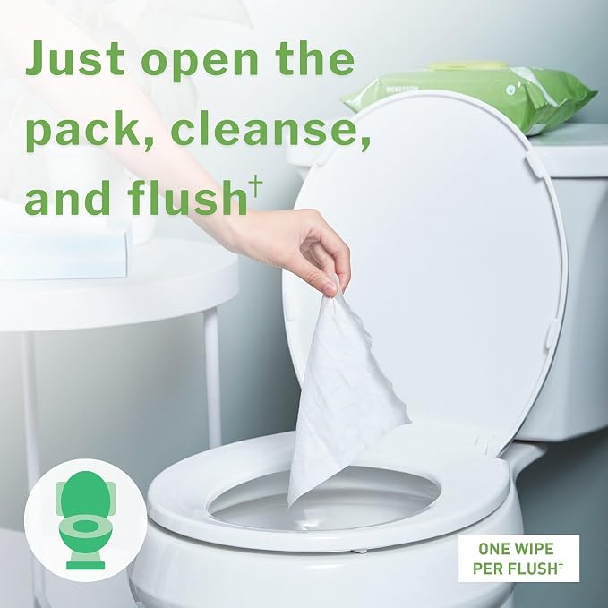 McKesson Flushable Adult Wet Wipes, Scented, 288 Wipes (6 Pack of 48) | Plant-Based Cleansing Wipes, Scented, Gentle on Skin, Plant-Based Adult Cleansing Wipes