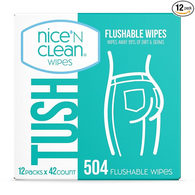 Nice 'N Clean Adult Flushable Wipes (12 x 42 Count) | Personal Cleansing Wipes Made from Plant-Based Fibers | Infused with Aloe & Vitamin E