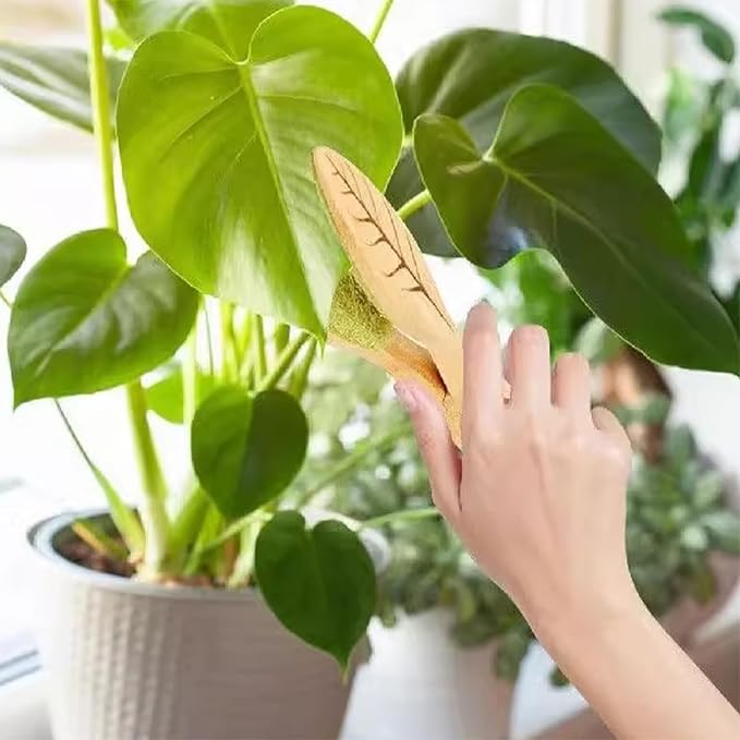 Leaf Cleaning Tongs, House Plant Leaf Cleaning Tongs,Leaf Cleaning Tools With Removable (1PC)