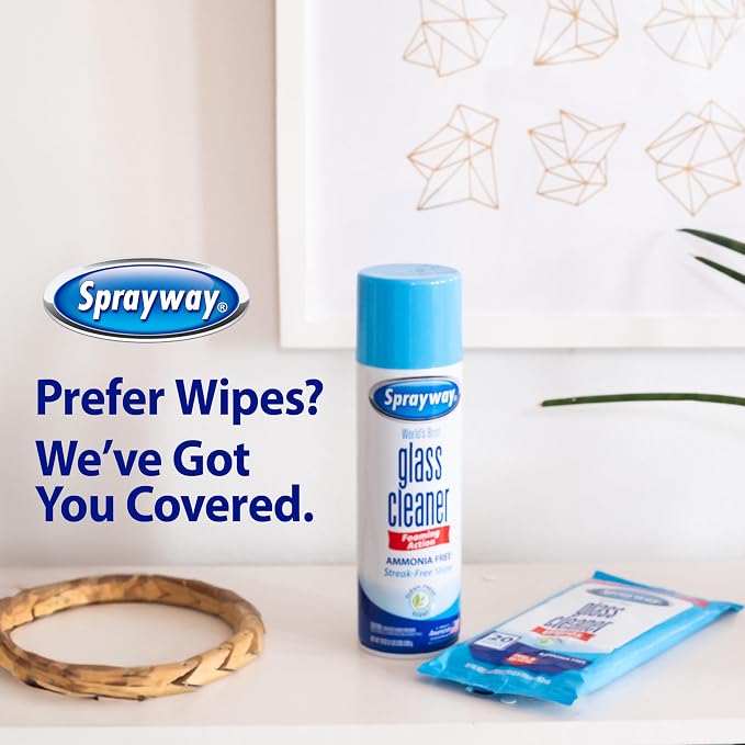 Sprayway Glass Cleaner Foaming Aerosol Spray, 19oz, Pack of 2 | Ammonia-Free, Streakless, Fast-Acting | Cleans & Polishes Glass Surfaces | Fresh Scent, Removes Fingerprints, Dust, Dirt, Smoke Film