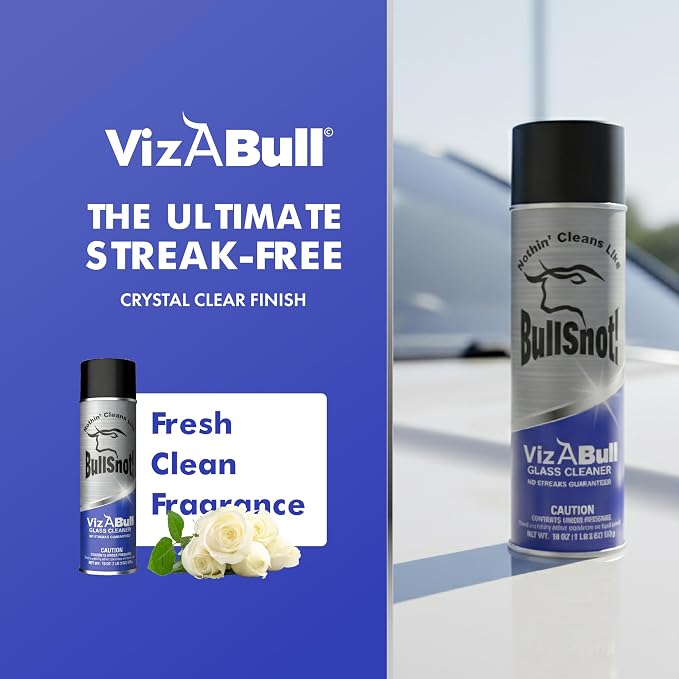 BullSnot! VizABull Glass Cleaner Foam Spray, Streak-Free for Car Windshield, Mirror, Window Cleaning - Heavy Duty for Auto Exterior - Ammonia-Free, No Drip, Quick Dry - 19 Fl Oz, 1 Can