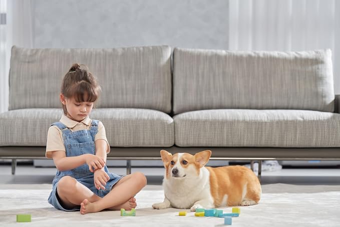 Jimmy WB81 Mattress Vacuum Cleaner, Upgraded Roller Brush, Smart Dust Sensor LED, UV Light and Ultrasound, PTC Heating, Best for Pet Hair and Anti-allergen (WB81, 2025 New Model)