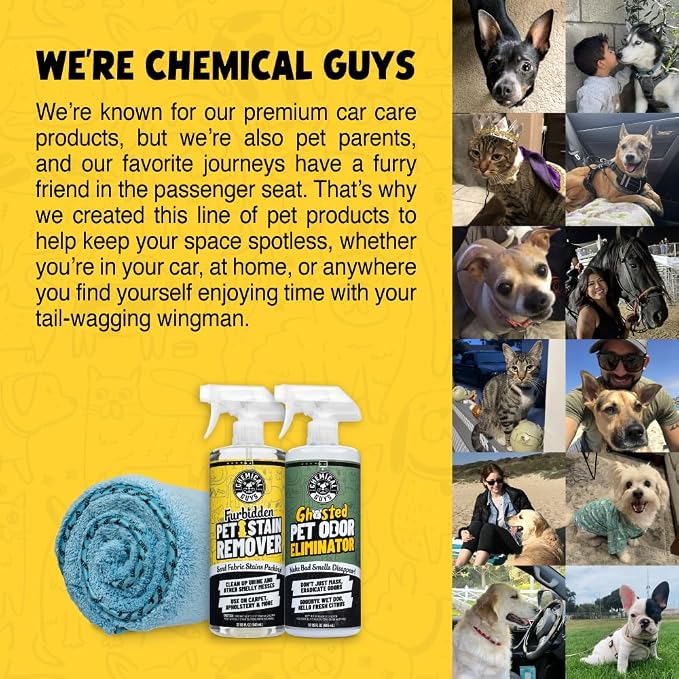 Chemical Guys, Furbidden Pet Stain & Odor Cleaner for Carpet & Seats, 16 oz | Lifts pet stains from urine and vomit and neutralizes odors on carpet, upholstery and fabric, multi-surface