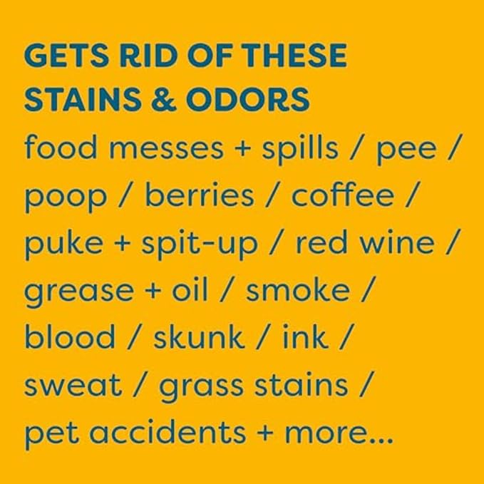 KIDS 'N' PETS Stain & Odor Remover for Carpet, Fabric & Furniture, 32 oz | Dog Pee & Cat Urine
