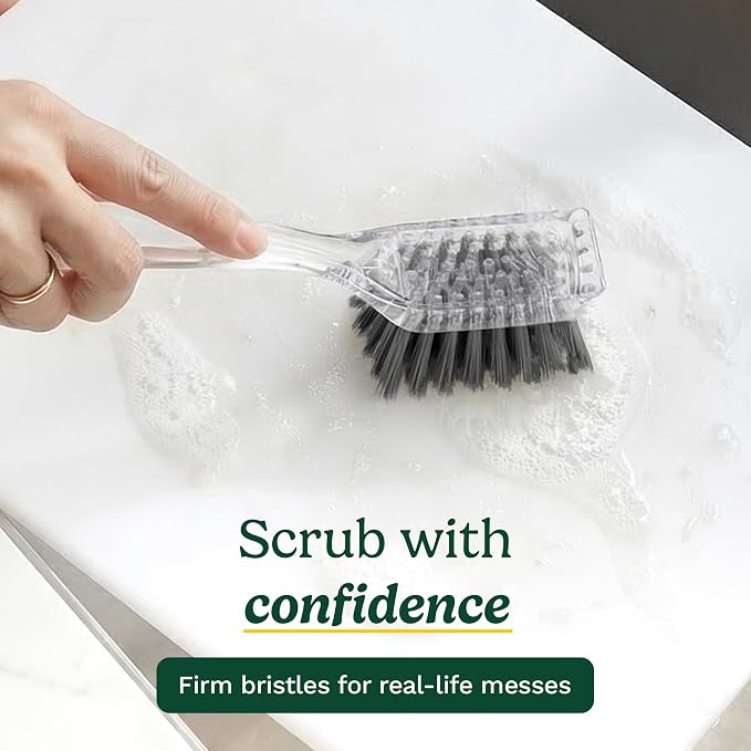 Cuisinart Dish Brush with Handle, 2 Pack, Firm Bristles | Multi-purpose dish scrubber for plates, pots, and pans, deep cleaning removes grease, safe for nonstick, built-in scraper