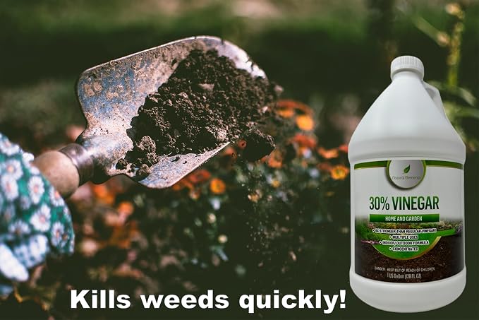 Natural Elements 30% Vinegar | Home & Garden | 6X Cleaning Power | Multiple Uses | 1 Gallon