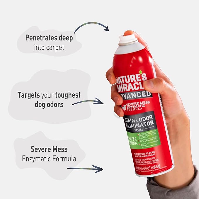 Nature’s Miracle Advanced Dog Stain & Odor Eliminator Foam, 17.5 oz (6 Pk) | Enzymatic Cleaner Eliminates the Toughest Dog Messes, Foam Penetrates Into the Carpet, Safe For Pets and Home*, Fresh Scent