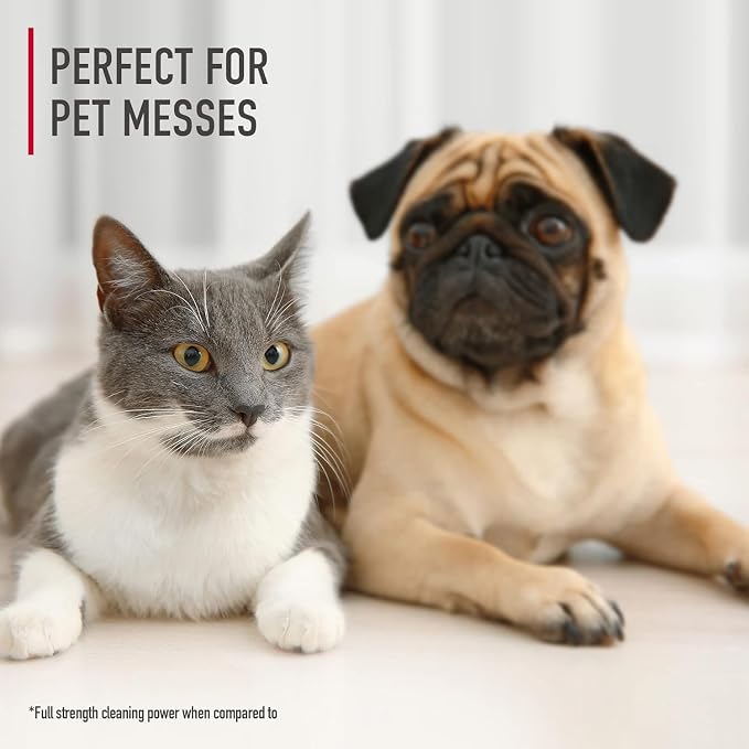 Hoover Pet Portable Spot Cleaner Solution,32 oz.,Tropical Breeze Scent,Upholstery and Carpet Shampoo Solution,Eliminates Pet Messes and Odors,Designed CleanSlate Spot Cleaner,(Pack of 2)