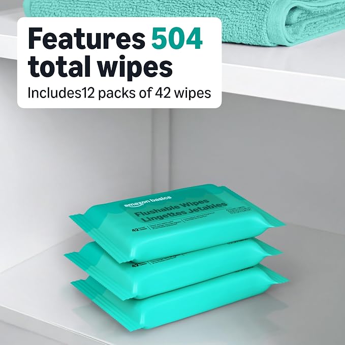 Amazon Basics Flushable Adult Toilet Wipes, Fragrance Free, 504 Count (12 Packs of 42), Packaging May Vary