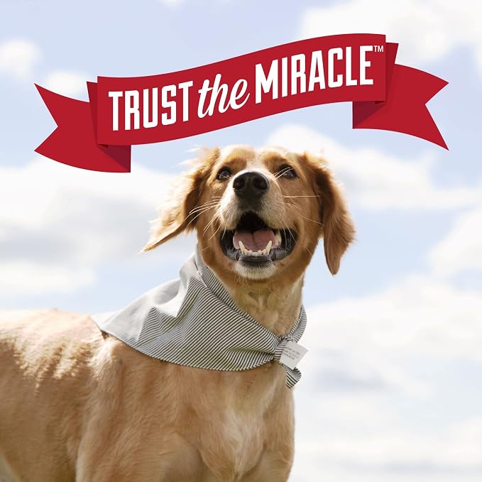 Nature's Miracle Dog Urine Destroyer Plus Foam, Enzymatic Cleaner, 17.5 oz | Destroys the Toughest Dog Urine Stains, Foam Penetrates Into the Carpet, Safe For Pets and Home*, Fresh Scent