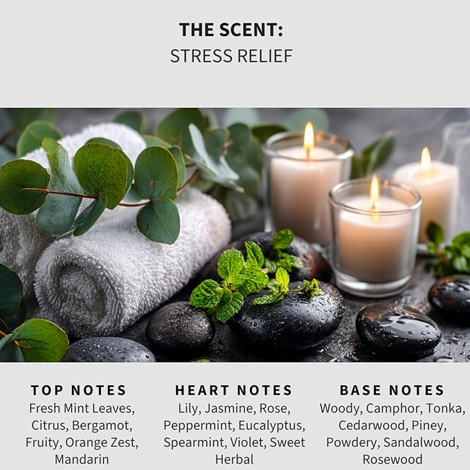 Lapew Stress Relief Scented Mop Soap - Luxury Floor Cleaner Concentrate for Mopping Tile, Laminate, Vinyl & Hardwood | Streak-Free, Low-Foam | 36 oz