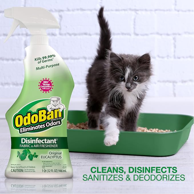 OdoBan Ready-to-Use Disinfectant and Odor Eliminator, Set of 3, 4 Ounce Travel Spray, 32 Ounce Spray, 1 Gallon Concentrate, Original Eucalyptus Scent