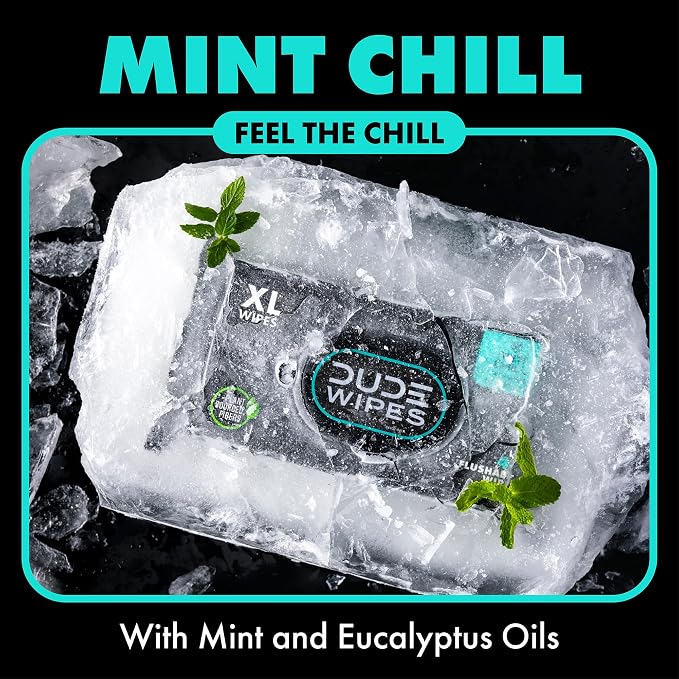 DUDE Wipes, 48 Wipes, 2 Pack | Flushable | Mint Chill | Extra-Large | Eucalyptus & Tea Tree Oil