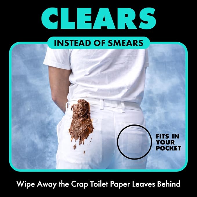 DUDE Wipes Mint Chill Pocket Packs - Travel Wipes - 6 Packs of 8 (48 Count) - On-The-Go Adult Flushable Wipes - Infused with Tea Tree Oil, Vitamin E, and Aloe - Septic and Sewer Safe