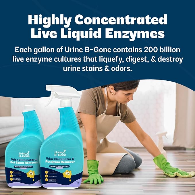 Urine B-Gone, Professional Enzyme Odor Eliminator & Pet Stain Remover, Human, Cat & Dog Urine Cleaner, Effective on Laundry, Carpets & More, Lavender Scent, 32oz, Pack of Two