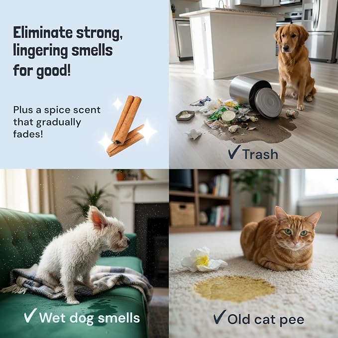 Sunny & Honey Pet Stain and Odor Remover for Carpets, 1 Gallon Spice | USA Made - Enzyme Cleaner for Dog Urine & Poop - Eliminates Set In Stains - Color Safe - For Rugs, Furniture & Car Seats
