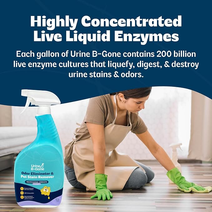 Urine B-Gone, Professional Enzyme Odor Eliminator & Pet Stain Remover, Human, Cat & Dog Urine Cleaner, Effective on Laundry, Carpets & More, Lavender Scent, 32oz