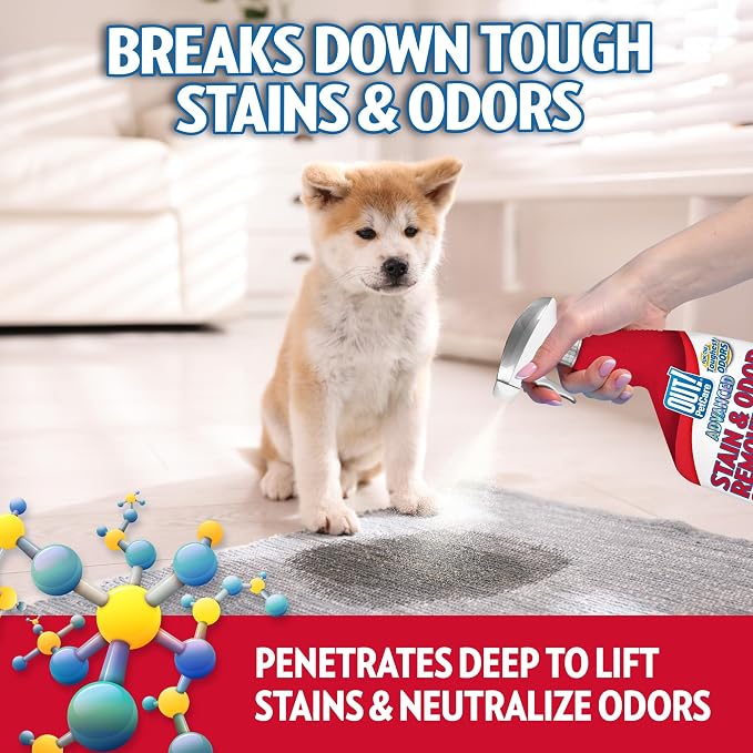 OUT! PetCare Pet Stain & Odor Remover, Carpet Cleaner, 32oz (2 Pack) | Dog Stain & Odor Remover, Pet Odor Eliminator, Floor Cleaner, Dogs & Cats, Carpet Cleaner, Cat Stain Remover, Made in USA
