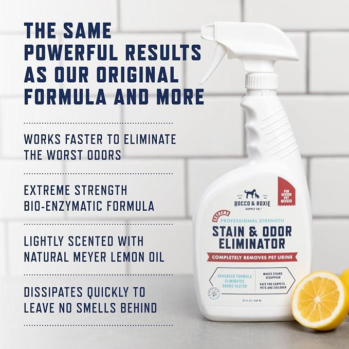 Rocco & Roxie Pet Extreme Stain & Odor Eliminator & Oxy Carpet Shampoo Bundle