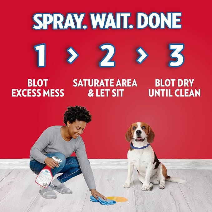 OUT! PetCare Pet Stain & Odor Remover, Carpet Cleaner, 32oz (2 Pack) | Dog Stain & Odor Remover, Pet Odor Eliminator, Floor Cleaner, Dogs & Cats, Carpet Cleaner, Cat Stain Remover, Made in USA