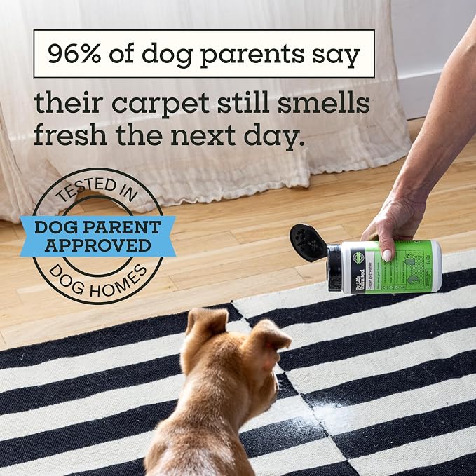 Pet Life Unlimited Carpet Deodorizer Powder, 16 oz, Strong Pet Odor Eliminator & Carpet Freshener, Plant-Based Juniper Leaf Scent, Pet Safe (Pack of 3)