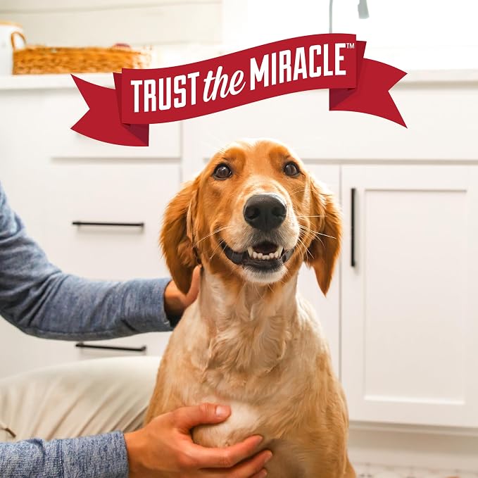Nature's Miracle Hard Floor Cleaner,24 Ounces,Dual-Action Stain and Odor Remover Works to Remove Tough Pet Stains and Odors On Sealed Wood-and Hard Floor Surfaces,(Pack of 2)