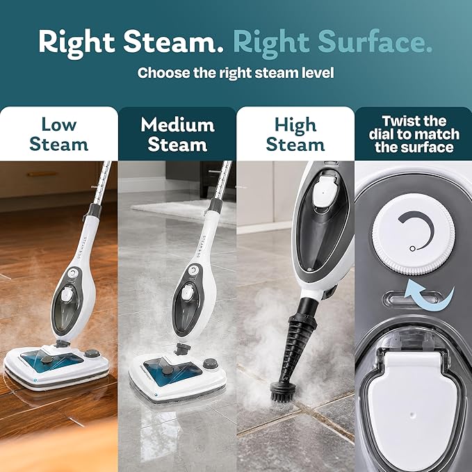 Steam & Go 10-in-1 Multi-Surface Steam Mop - Deep Clean with Heat