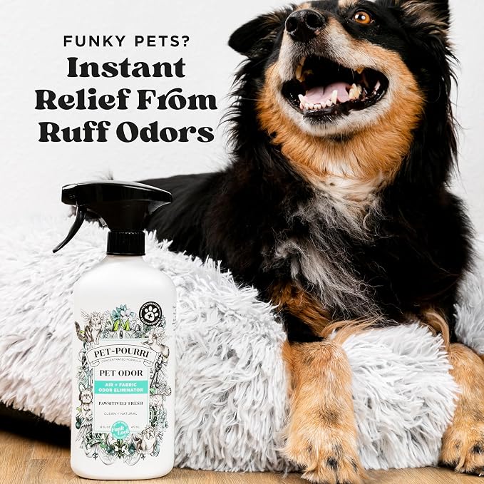 Pet-Pourri Pawsitively Fresh Pet Odor Deodorizer Spray, 16 Fl Oz, Up to 800 Uses, Air + Fabric Odor Remover with Essential Oils & Plant Based Ingredients, Vet Recommended, Pineapple, Jasmine & Pear