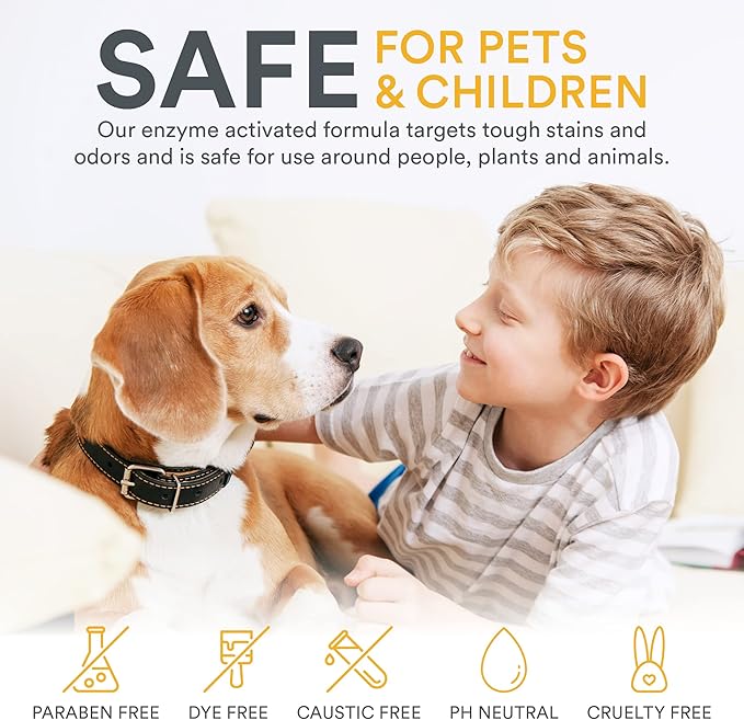 Zeiff Pet Stain and Odor Remover - Pet Odor Eliminator for Home and Professional Use - Carpet Stain Remover - Pet Urine Enzyme Cleaner for Dog and Cat Pee, Feces, and Fluids - 1 Gallon, 2 Pack