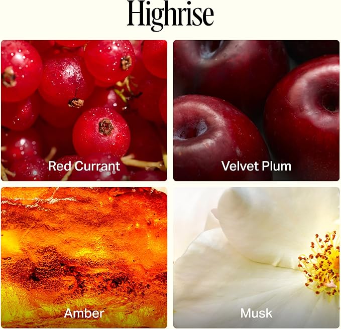 Preston Lane Luxury All-Purpose Cleaner, Highrise Scent | Bio-Based Multi-Surface Spray | Streak-Free Finish, Lifts Dirt, Smudges & Grease | Vegan & Cruelty-Free