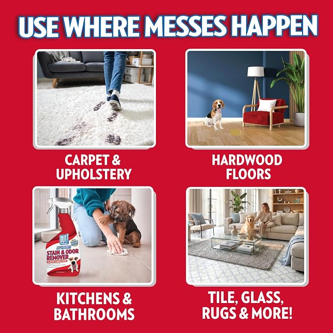 OUT! PetCare Pet Stain & Odor Remover, Carpet Cleaner, 32oz (2 Pack) | Dog Stain & Odor Remover, Pet Odor Eliminator, Floor Cleaner, Dogs & Cats, Carpet Cleaner, Cat Stain Remover, Made in USA