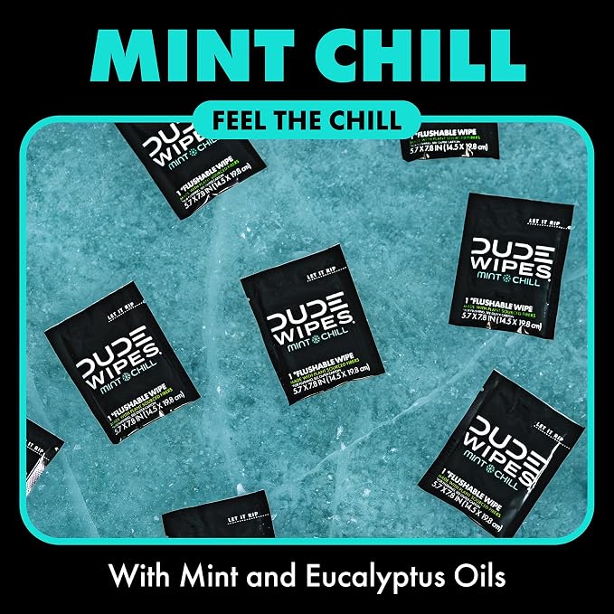 DUDE Wipes On-The-Go Mint Chill Travel Wipes - 30 Count (Individually Wrapped) - Extra-Large Adult Flushable Wipes - Infused with Tea Tree Oil, Vitamin E, and Aloe - Septic and Sewer Safe