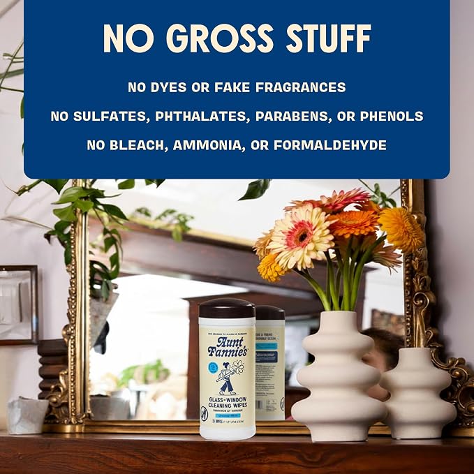 Aunt Fannie's Glass & Window Cleaning Wipes, Natural Streak-Free Glass Cleaner, 35 Count (Pack of 6)