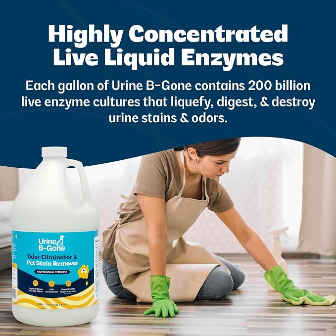 Urine B-Gone, Professional Enzyme Odor Eliminator & Pet Stain Remover, Human, Cat & Dog Urine Cleaner, Effective on Laundry, Carpets & More, Original Scent, 1 Gallon