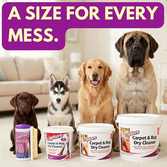 Capture Carpet & Rug Dry Cleaner: Carpet Deodorizer & Freshener Powder - Pet Odor Eliminator - Spot & Stain Remover - Fresh Natural Scent - Carpet Cleaner Powder - Dry Rug Powder Cleaner (8 lb)