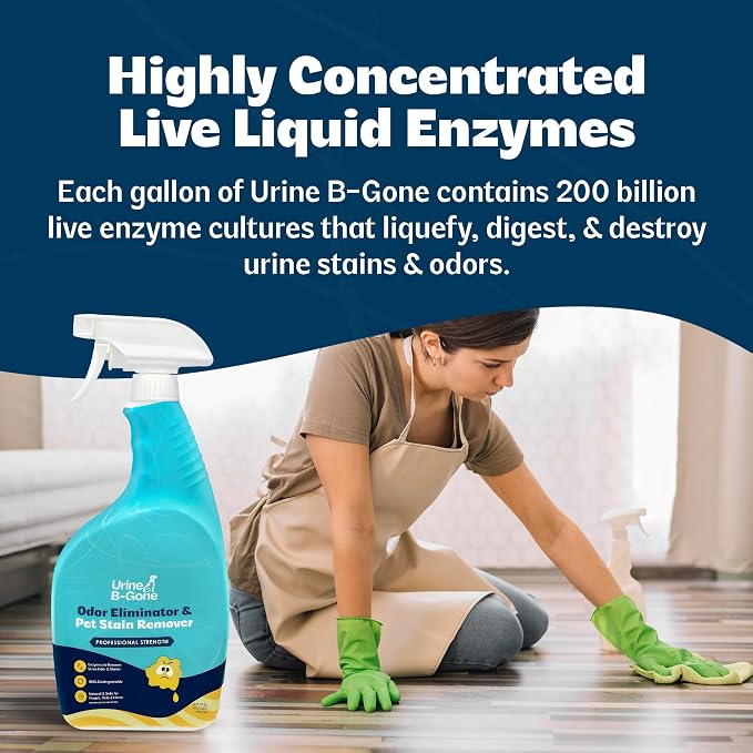Urine B-Gone, Professional Enzyme Odor Eliminator & Pet Stain Remover, Human, Cat & Dog Urine Cleaner, Effective on Laundry, Carpets & More, Original Scent, 32oz