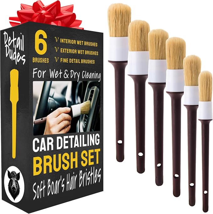 Car Detailing Brush Set 6-Pack, Interior and Exterior, Detail Dudes | Scratch-Free Boars Hair - Exterior & Interior Cleaning Brushes - Safe for Leather, Piano Black Trim, Dashboards & Wheels