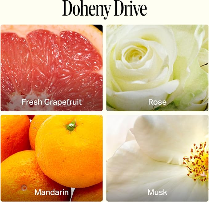 Preston Lane Luxury All-Purpose Cleaner, Doheny Drive Scent | Bio-Based Multi-Surface Spray | Streak-Free Finish, Lifts Dirt, Smudges & Grease | Vegan & Cruelty-Free