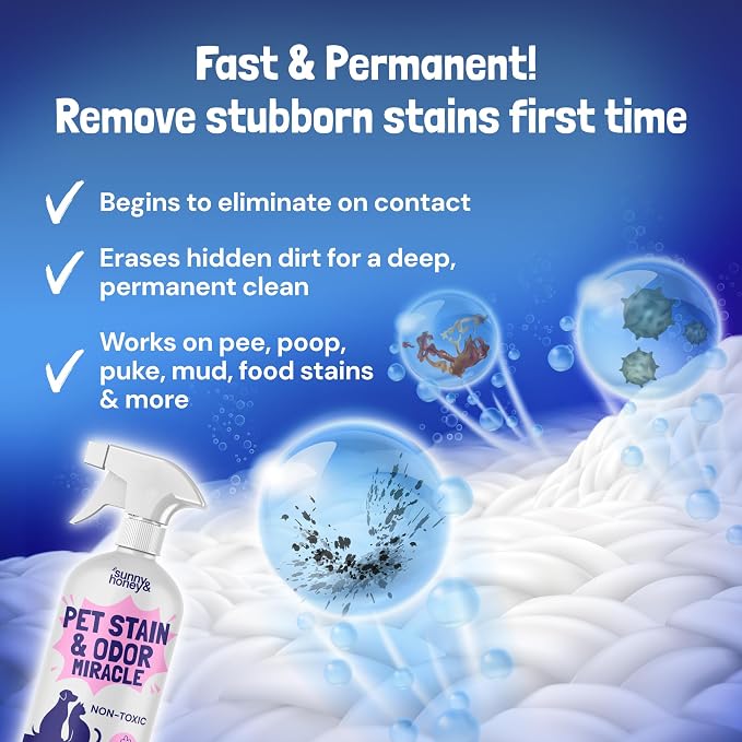 Sunny & Honey Pet Stain and Odor Remover Spray for Carpets, 32floz Lavender | USA Made - Enzyme Cleaner for Dog Urine & Poop - Eliminates Set In Stains - Color Safe - For Rugs, Furniture & Car Seats