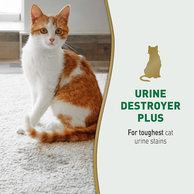 Nature’s Miracle Urine Destroyer Plus Cat,32 Ounces,Unscented,Enzymatic Formula,Ready-to-Use,(Pack of 12)