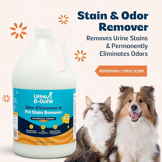 Urine B-Gone, Professional Enzyme Odor Eliminator & Pet Stain Remover, Human, Cat & Dog Urine Cleaner, Effective on Laundry, Carpets & More, Citrus Scent, 1 Gallon