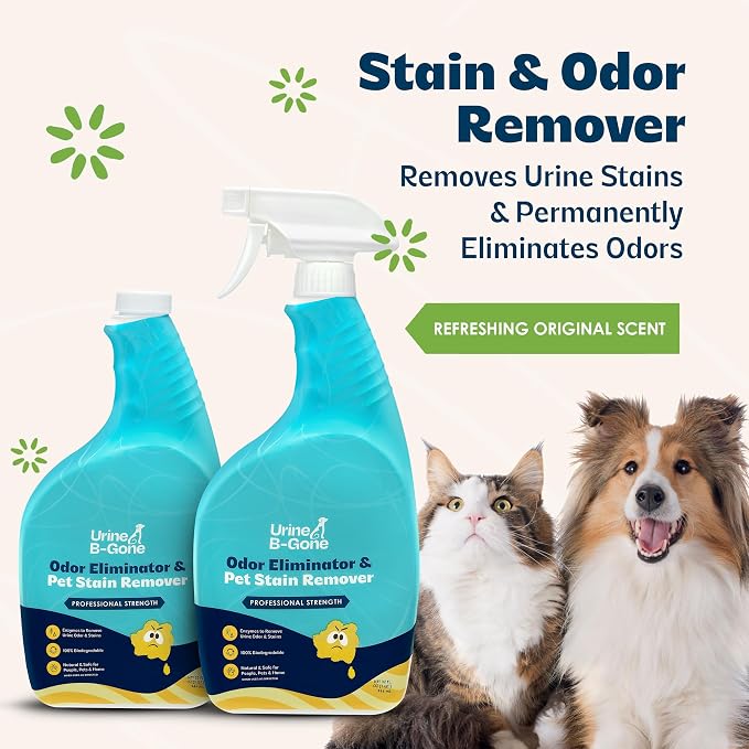 Urine B-Gone, Professional Enzyme Odor Eliminator & Pet Stain Remover, Human, Cat & Dog Urine Cleaner, Effective on Laundry, Carpets & More, Original Scent, 32oz, Pack of Two