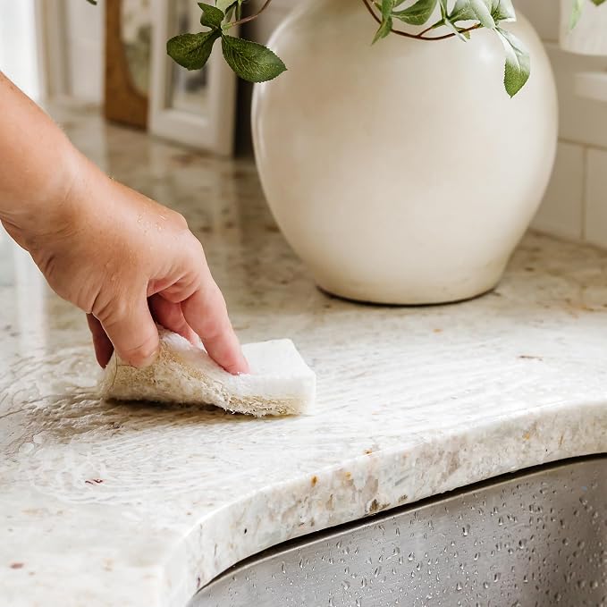 Full Circle Natural Scrubber Sponge Duo Set, Plant-Based Scrubber Sponges – Pack of 6 – 3 Walnut & 3 Coconut – Powerful Natural Sponges Made with Plants & Recycled Materials, Safe for Nonstick