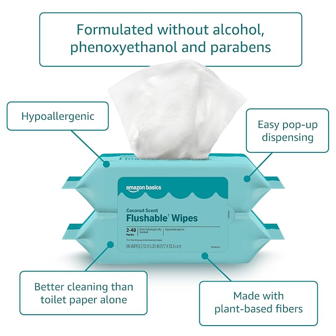Amazon Basics Flushable Wipes, Coconut Scent, Hypoallergenic, Dermatologically Tested, 2 Packs of 48 (96 Count)