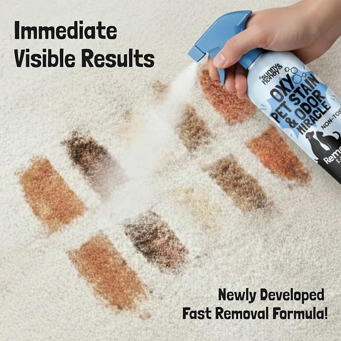 Sunny & Honey Oxy Stain Remover Cleaner Spray, Unscented, (32 fl oz) | Instant Stain & Odor Removal - Residue Free - Color Safe - Solution for Mattresses, Fabrics, Rugs, Carpets & Furniture